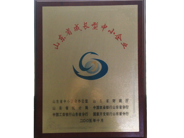 山东省成长型中小企业
