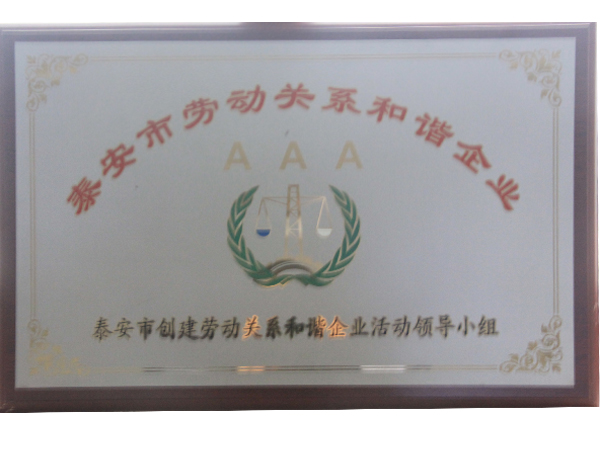 泰安市劳动关系和谐企业